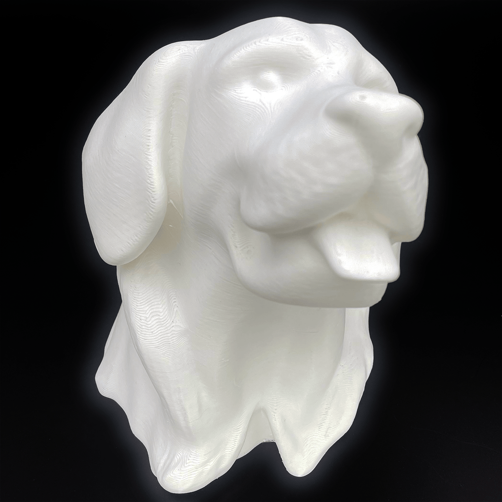 3D - geprinte kop van een Golden Retriever – een uniek decoratief beeld - 3dbende