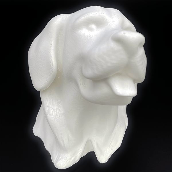 3D - geprinte kop van een Golden Retriever – een uniek decoratief beeld - 3dbende