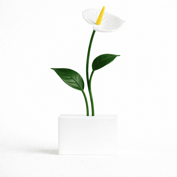 Custom Anthurium - 3dbende
