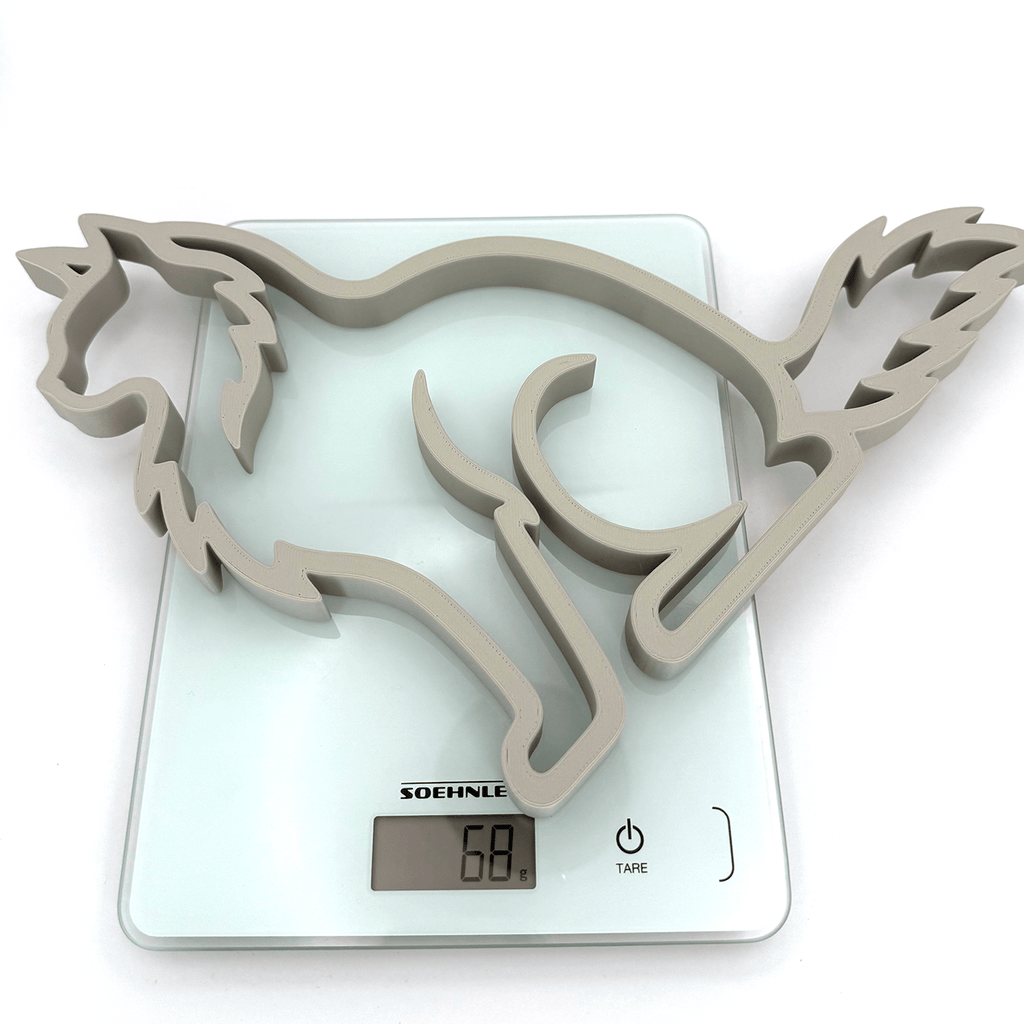 Maine Coon Kat - 3dbende