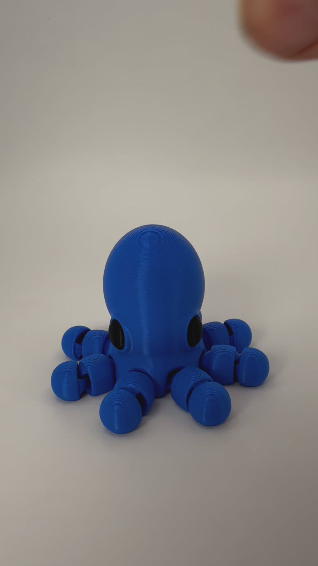 Baby octopus